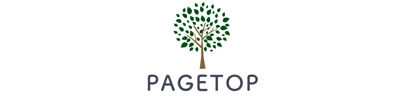 PAGE TOP